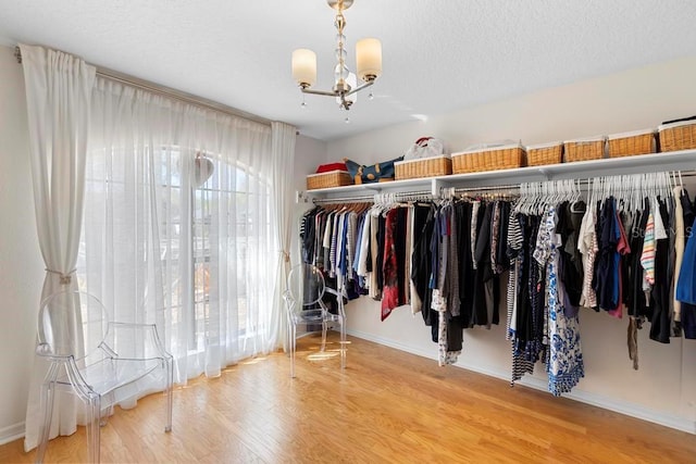 walk in closet featuring an inviting chandelier and wood finished floors