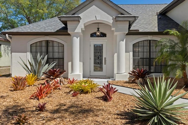 entrance to property with stucco siding and a shingled roof