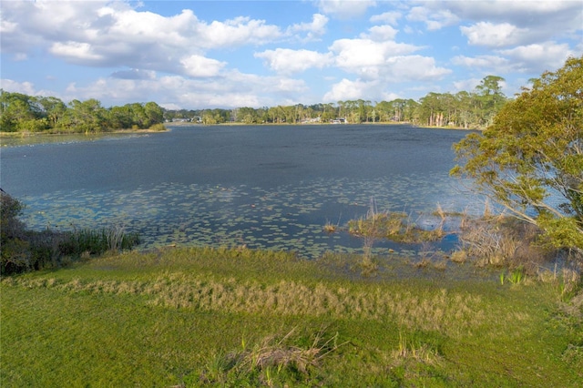 view of water feature