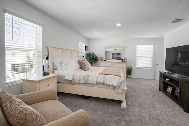 1088 Happy Forest Loop, Deland, FL 32720 - carpeted bedroom with multiple windows and a textured ceiling