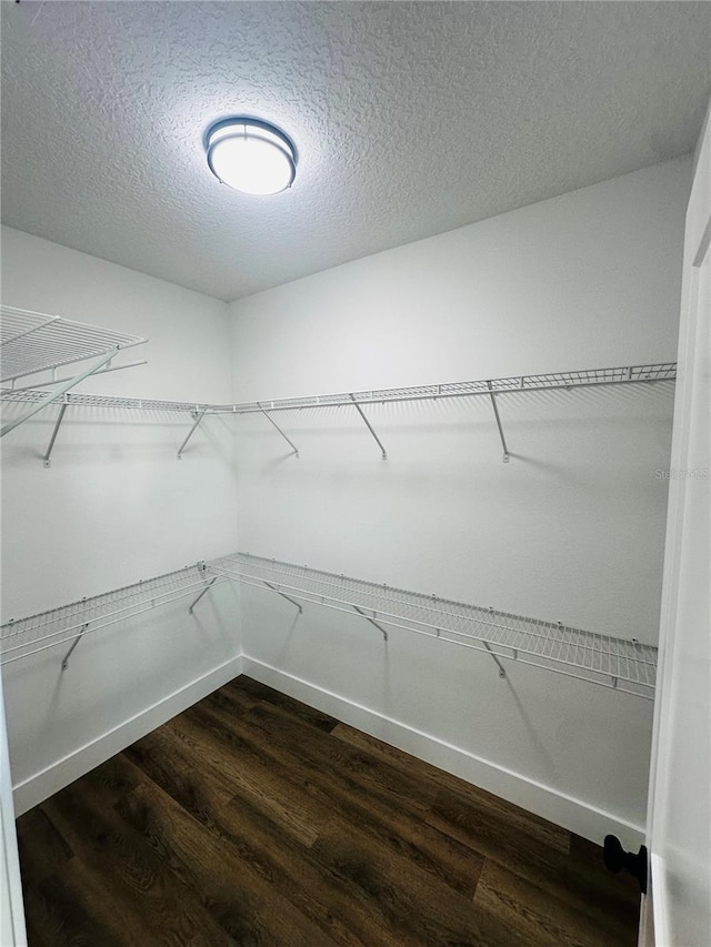 spacious closet with dark wood-style floors