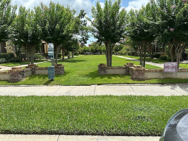1812 Leather Fern Dr, Ocoee, FL 34761 - view of home's community featuring a lawn