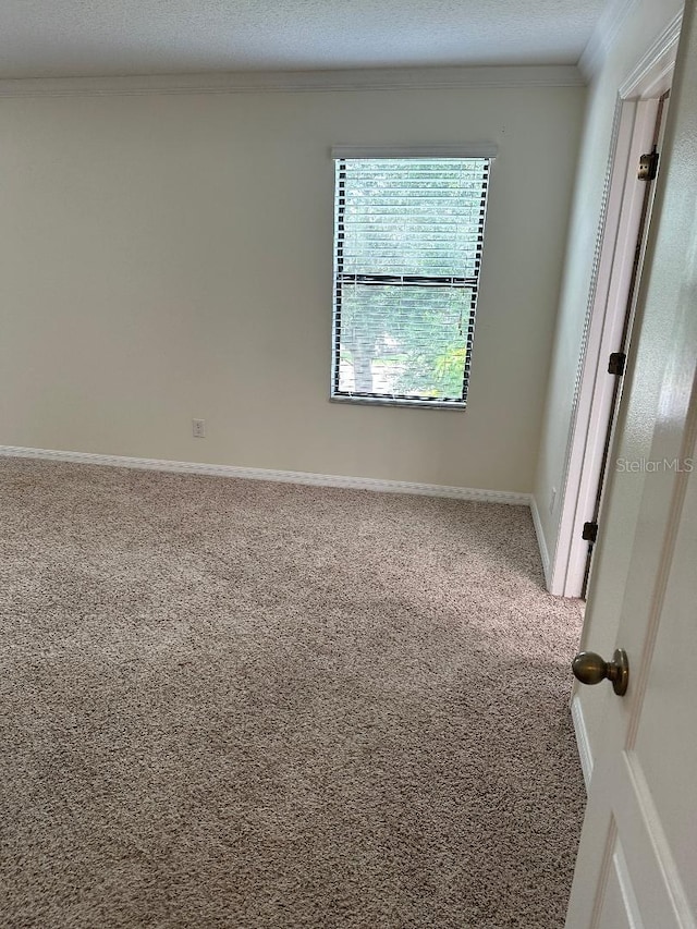 1812 Leather Fern Dr, Ocoee, FL 34761 - unfurnished room with ornamental molding, carpet floors, a textured ceiling, and baseboards