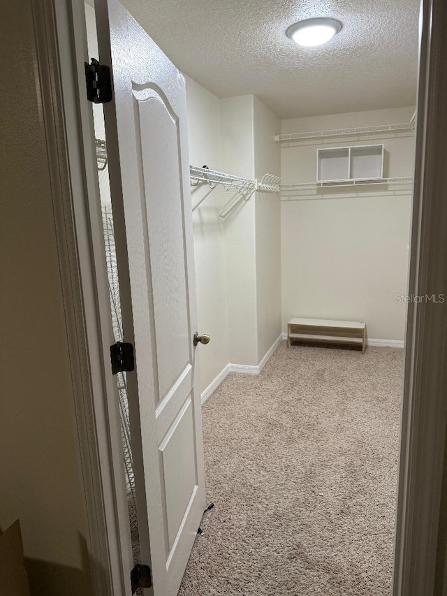 1812 Leather Fern Dr, Ocoee, FL 34761 - spacious closet with carpet floors