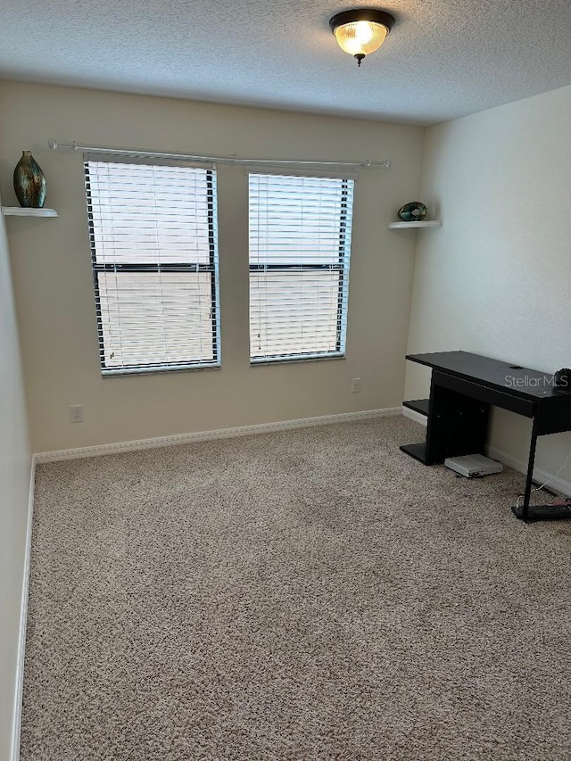 1812 Leather Fern Dr, Ocoee, FL 34761 - spare room with carpet flooring, a textured ceiling, and baseboards