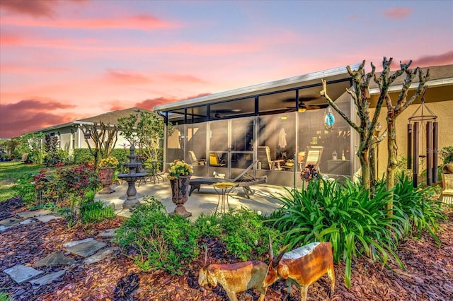 back of property with stucco siding, a patio, and a sunroom