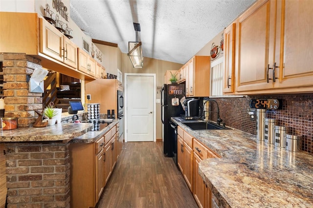 kitchen with tasteful backsplash, dark wood finished floors, lofted ceiling, a textured ceiling, and a sink