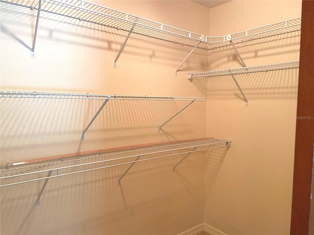 view of spacious closet