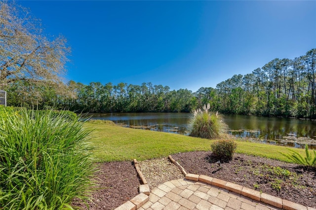 view of yard with a wooded view and a water view