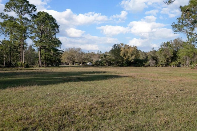 view of yard with a rural view