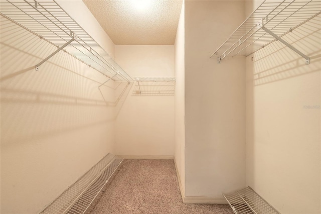 walk in closet featuring carpet