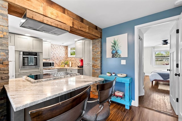 kitchen with tasteful backsplash, appliances with stainless steel finishes, dark wood-style floors, and a healthy amount of sunlight