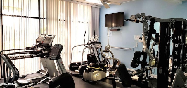 gym with a wealth of natural light and ceiling fan