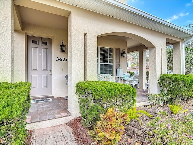 view of exterior entry featuring covered porch and stucco siding