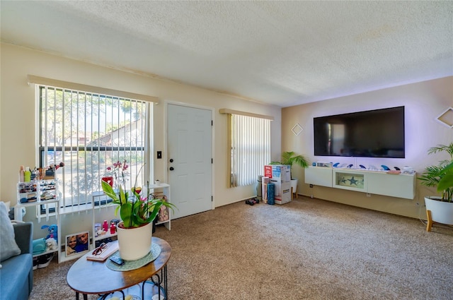 carpeted living room featuring a textured ceiling