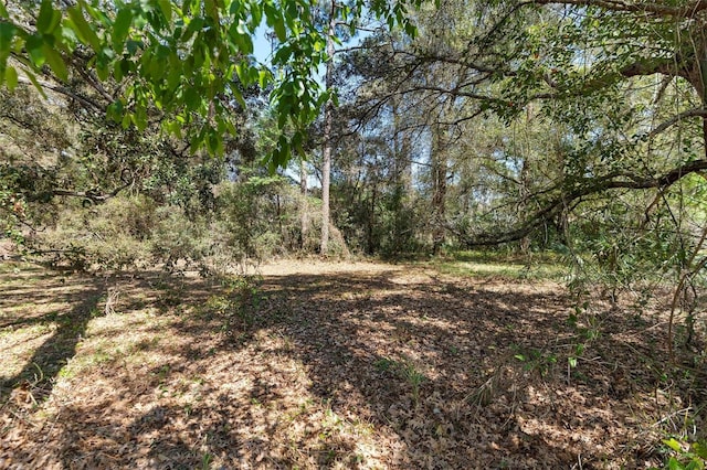 509 Victoria Hills Dr, Deland, FL 32724 - photo 39