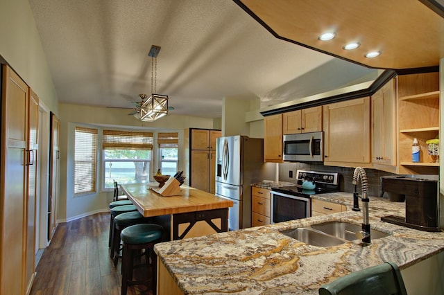 kitchen featuring open shelves, a peninsula, a sink, stainless steel appliances, and dark wood-type flooring