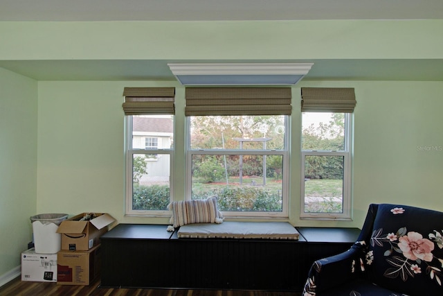 interior space featuring wood finished floors and a healthy amount of sunlight