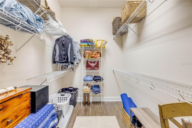 3145 Connemara Dr, Ormond Beach, FL 32174 - walk in closet with wood finished floors