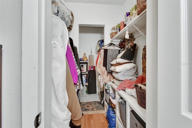 walk in closet featuring wood finished floors