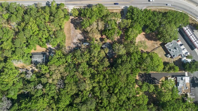 Kelly Park Rd E, Apopka, FL 32712 - photo 21