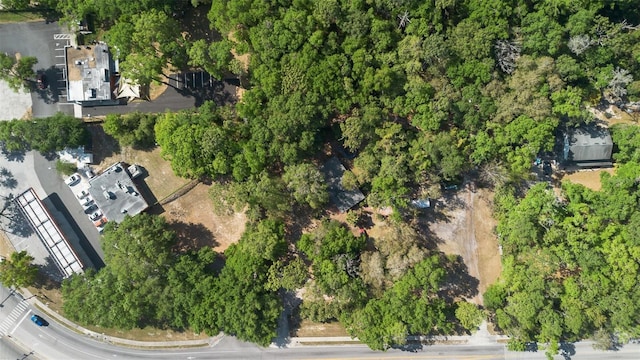 Kelly Park Rd E, Apopka, FL 32712 - photo 12
