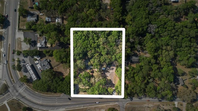 Kelly Park Rd E, Apopka, FL 32712 - photo 15