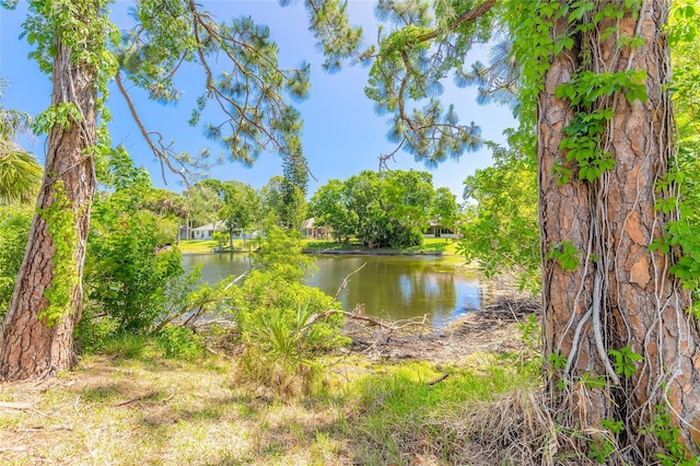 4589 Alder Dr, Port Orange, FL 32127 - photo 32