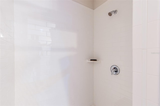 room details with a tile shower