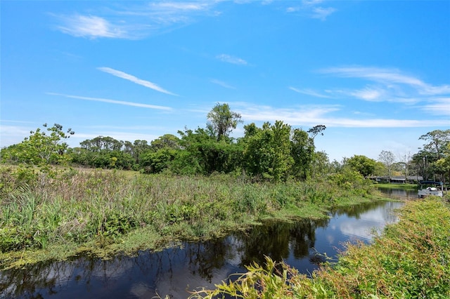 view of local wilderness featuring a water view