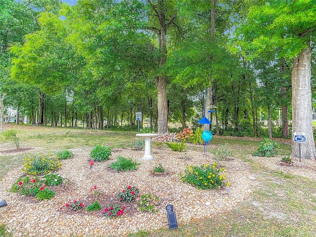 425 Wedgeworth Ln, Deland, FL 32724 - view of yard
