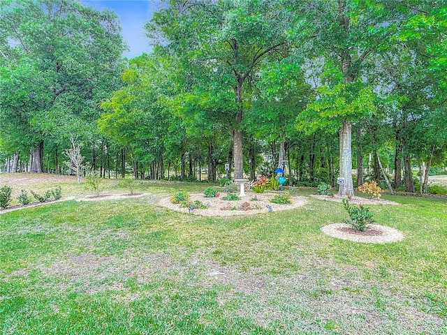 425 Wedgeworth Ln, Deland, FL 32724 - view of yard