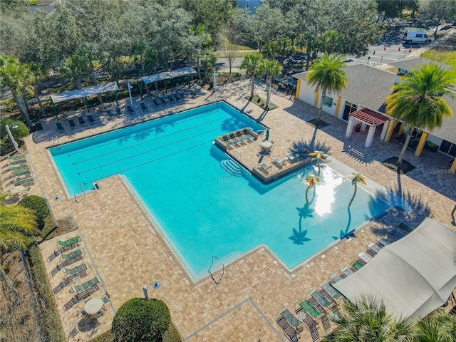 425 Wedgeworth Ln, Deland, FL 32724 - pool with a patio area
