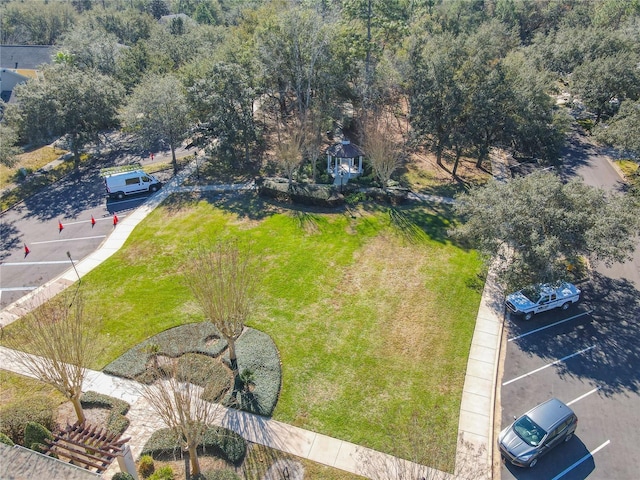 425 Wedgeworth Ln, Deland, FL 32724 - aerial view