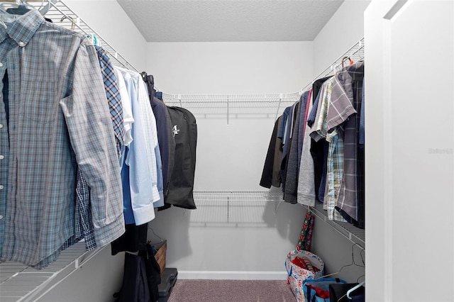 1601 Toledo Ave, Deltona, FL 32725 - spacious closet featuring carpet floors