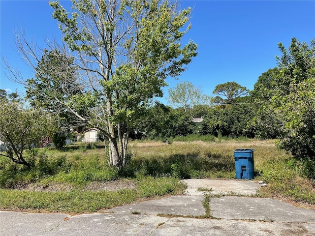 156 Mae St, Oak Hill, FL 32759 - photo 1