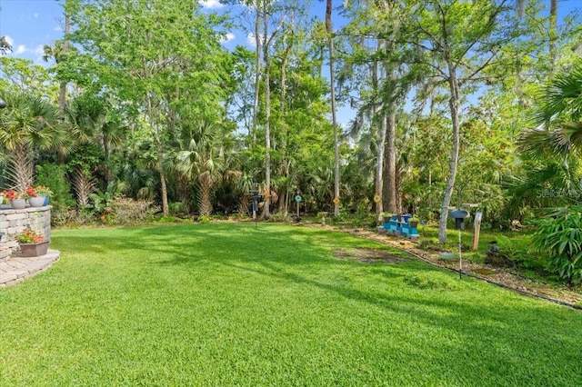 view of yard