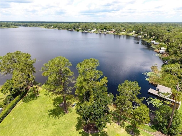 910 N Kepler Rd, Deland, FL 32724 - photo 53