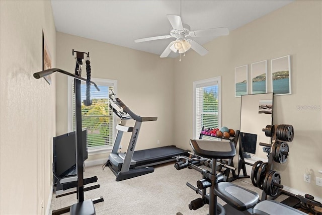 3310 John Anderson Dr, Ormond Beach, FL 32176 - workout area with carpet floors, baseboards, and a ceiling fan