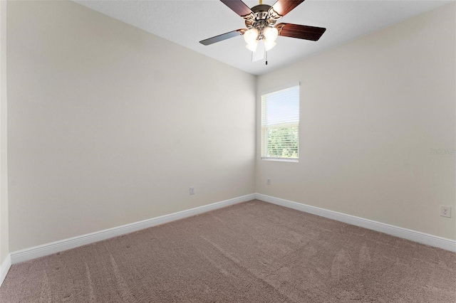 5064 Meadow Song Dr, Okahumpka, FL 34762 - photo 22