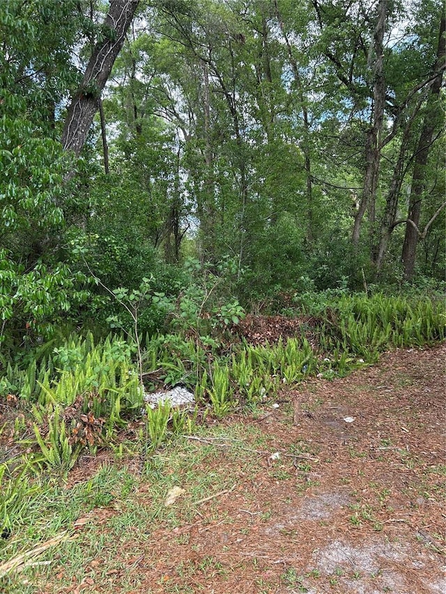 370 Fatio Rd, Deland, FL 32720 - photo 9