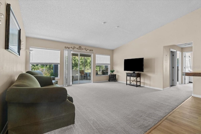 living area featuring baseboards, a textured ceiling, wood finished floors, and vaulted ceiling