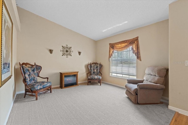 sitting room featuring baseboards, a textured ceiling, and light colored carpet