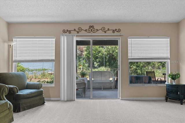 living area with carpet floors, a textured ceiling, and baseboards