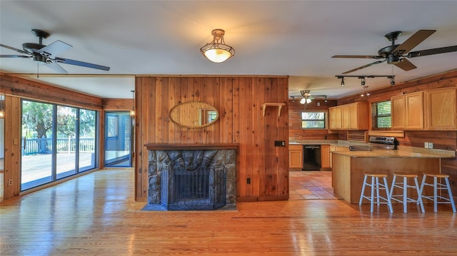 160 Rose Ave, Lake Helen, FL 32744 - kitchen featuring wooden walls, rail lighting, ceiling fan, and black dishwasher