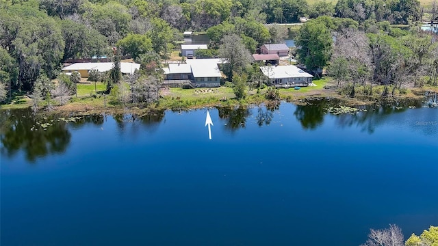 160 Rose Ave, Lake Helen, FL 32744 - birds eye view of property with a water view