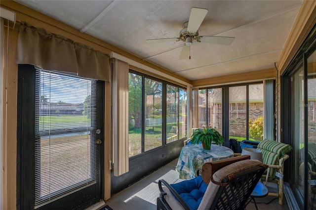 133 Wood Ibis Ct, Daytona Beach, FL 32119 - sunroom / solarium with ceiling fan