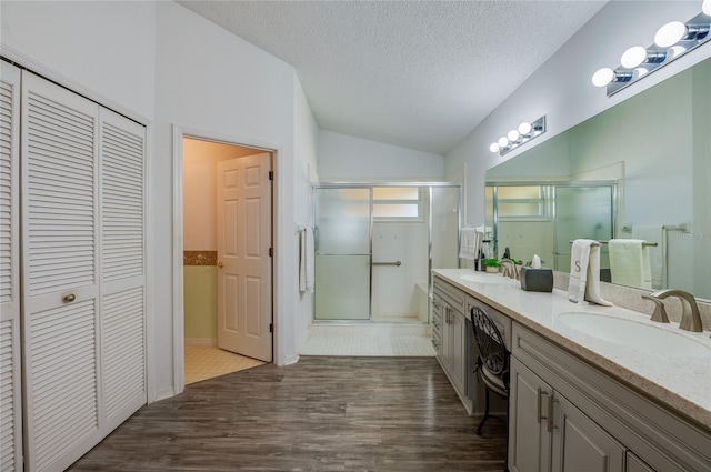133 Wood Ibis Ct, Daytona Beach, FL 32119 - full bath featuring a shower stall, a sink, a closet, and vaulted ceiling