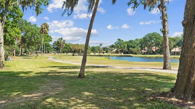 view of community with a water view and a yard