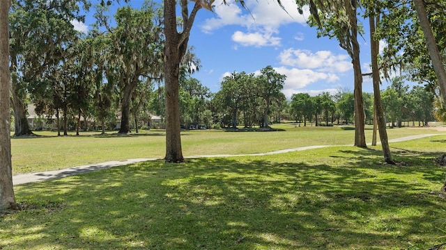 view of community featuring a lawn